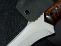 Blacktip — Tactical Utility Neck Knife - Image 3
